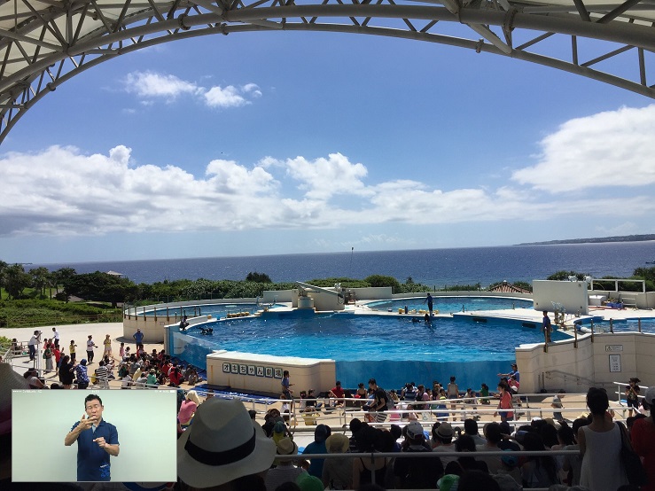 作品画像：【2020年3月31日サービス休止】海洋博公園　沖縄美ら海水族館