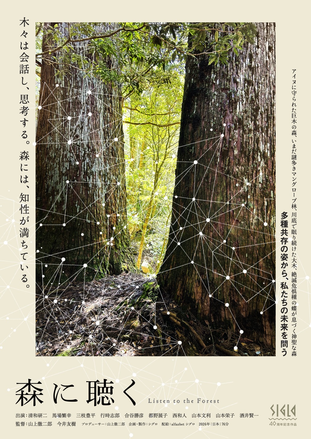 作品画像：森に聴く Listen to the Forest